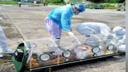 রাজশাহী-৫ আসনের করোনা আক্রান্ত সংসদ সদস্য প্রফেসর ডা. মনসুর রহমানকে ঢাকায় নেয়া হয়েছে।