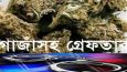 জগন্নাথপুরে ১০০ গ্রাম গাঁজা সহ ৩ জন গ্রেপ্তার
