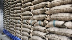 12,000 metric tons of rice has been distributed among the flood victims