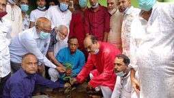 প্রধানমন্ত্রীর জন্মদিন উপলক্ষ্যে ৬নং ওয়ার্ড আওয়ামীলীগের বৃক্ষরোপন
