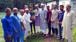 পরিবেশের ভারসাম্য রক্ষায় গাছের নানামুখী অবদান রয়েছে: শিপলু