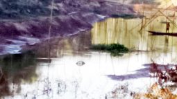 কুশিঘাটে সুরমা নদীতে নিম ও কাঁটা ফেলে প্রতিবন্ধকতা, মৎস্য শিকার ও নৌকা চলাচলে ব্যাঘাত