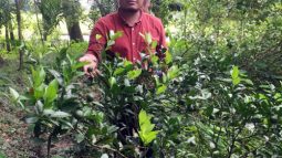 তালুকদার এগ্রো ফার্মের প্রতিষ্ঠাতা ইমতিয়াজ কামরান তালুকদারের সফলতার গল্প