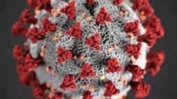 করোনায় ২৩০ জনের মৃত্যুতে নতুন রেকর্ড, শনাক্ত ও সর্বোচ্চ ১১৮৭৪