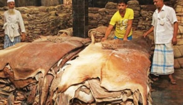 সরকার প্রথমবারের মতো ৫টি প্রতিষ্ঠানকে ২০ লাখ বর্গফুট করে মোট ১ কোটি বর্গফুট ওয়েট-ব্লু চামড়া রপ্তানির অনুমতি দিয়েছে।