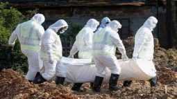 করোনায় আরও ২২৮ মৃত্যু, শনাক্ত ১১,২৯১